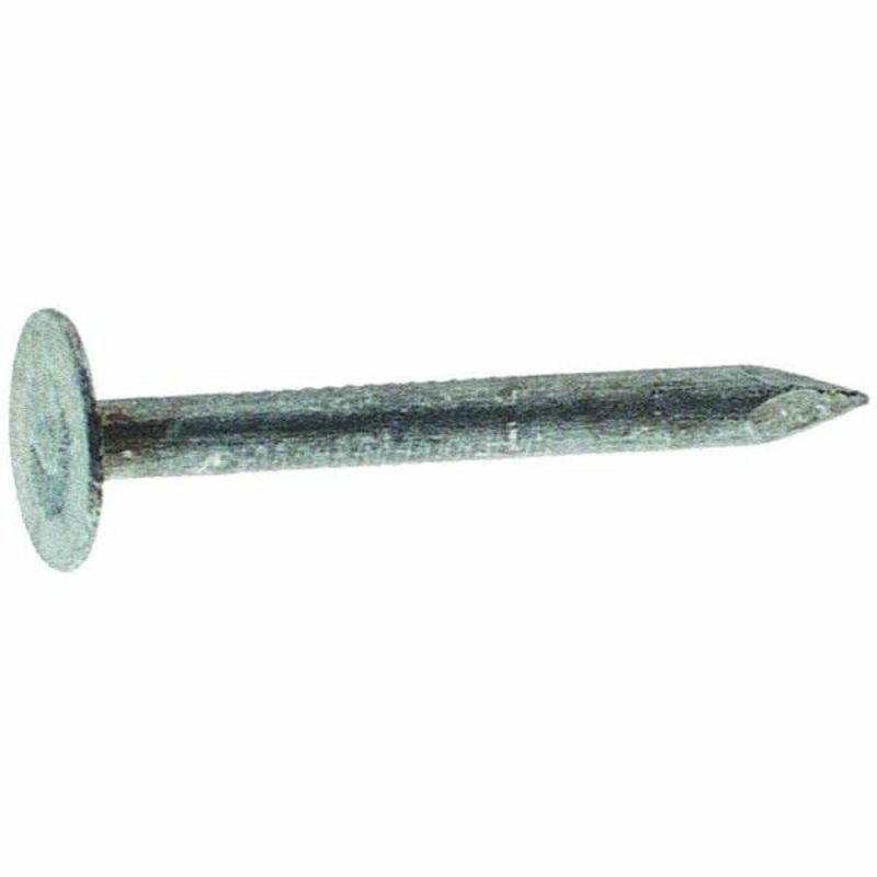 #11 X 2 In. 30 Lb. Electro-Galvanized Steel Roofing Nails