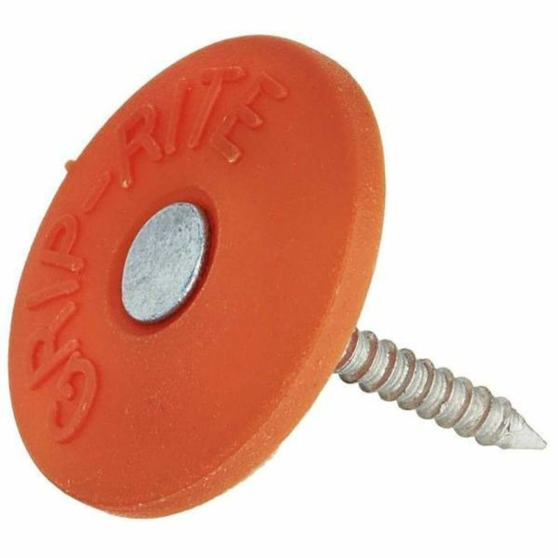 12 In. X 1 In. 2d Electro-Galvanized Steel Roofing Nails With Plastic Cap